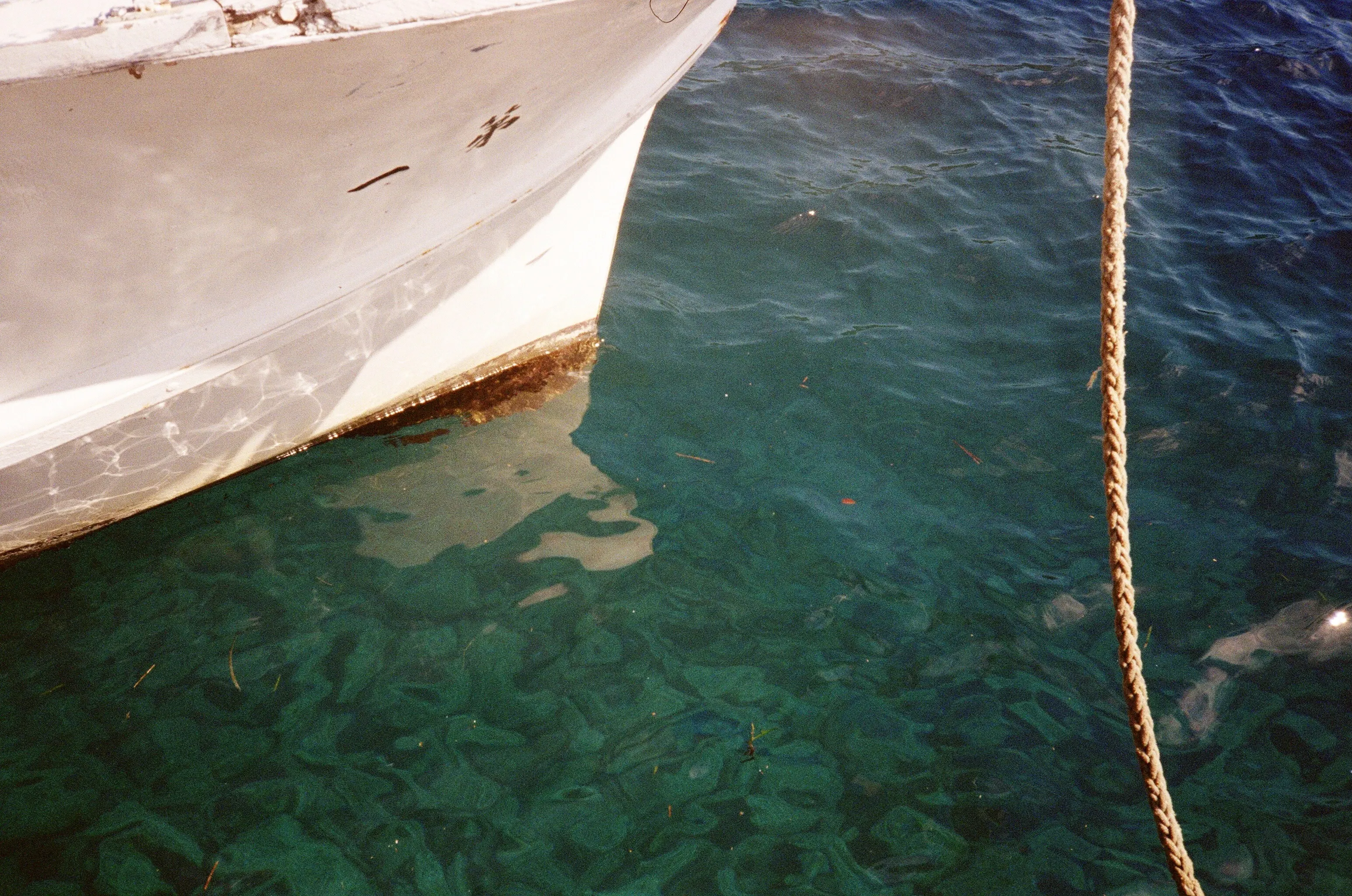 Description of the image